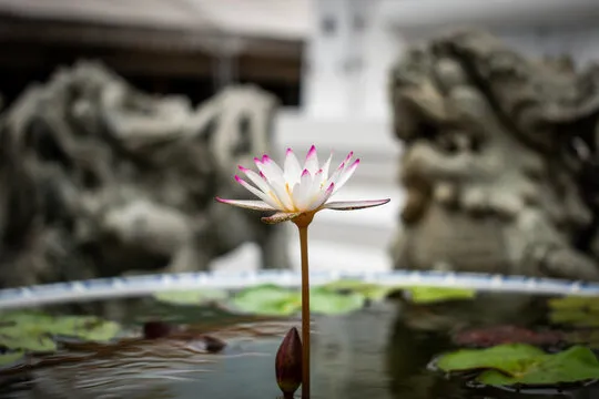 幸运飞艇